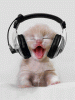 cat_headphones.gif