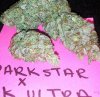 Dark Star x Mk Ultra no flash.jpg