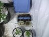 4-17-13 veg room 5.jpg