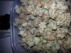 __TEMP__ea4b1d74397cfd862cd25e8e6c57aa03-1329969939_275_Pineapple Express buds.jpg