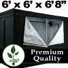 grow tent.JPG