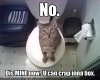 funny-pictures-cat-has-taken-over-your-toilet.jpg