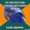 paranoid-parrot-meme-generator-ice-cube-melts-and-your-not-even-finshed-drinking-global-warming-.jpg