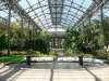 Longwood_Gardens_conservatory_atrium.jpg