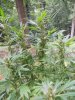 July27SourDiesel2_zps066141b3.jpg