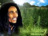 bob-marley-marijuana.jpg