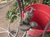 sump pump 001.jpg