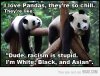 panda.jpg