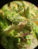 trichomes02 - copia.jpg