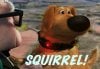 squirrel.jpg