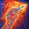 alex grey 8.jpg