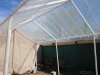 3-30-11 greenhouse 005.jpg