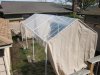 3-30-11 greenhouse 001.jpg