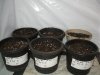 10-3-13 TUPAC POT and SEED.jpg