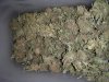 WaterCure_sativa_jarred_Oct8_2013.jpg