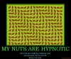 my-nuts-are-hypnotic-nuts-optical-illusion-demotivational-poster-1261537009.jpg