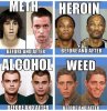 weed comparison.jpg