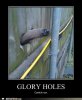 funny-captions-anteater.jpg