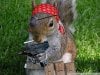 Funny-Gangster-Animal-1.jpg