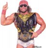 macho-man-randy-savage-7.jpg