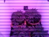 vipar LED grow day 30 and day 2 flower.jpg