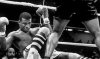 Mike-Tyson-vs.-Michael-Spinks_(2)_-530x317.jpg