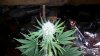20140131_083645.jpg