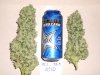 Feb 10, (5) colas 79.0g.jpg