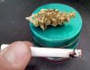 green and grinder.jpg