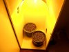 New indoor grow 002.jpg