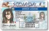 license-mugshot-thumb-300x191.jpg