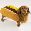 hot-dog-mustard-small_1_2-e1332363700142.jpg