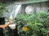 Full Grow Library 3-13-14 011.jpg