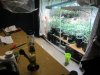 Full Grow Library 3-13-14 001.jpg