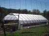 light dep greenhouse 3-12-2014 002.jpg