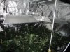 Full Grow Library 3-13-14 033.jpg