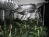 Full Grow Library 3-13-14 032.jpg