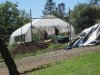 greenhouse 4-6-2014 022.JPG