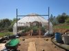 greenhouse 4-6-2014 014.JPG