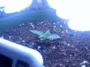 SEEDLING DAY5.jpg