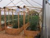 Greenhouse update 4-22-2014 009.JPG