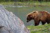 Our Wild Alaska Adventure June 2012 072.JPG