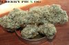 dry bud pics 001.JPG