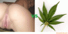 pussy-versus-weed.gif