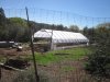 light dep greenhouse 3-12-2014 001.JPG