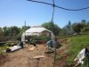 greenhouse 4-6-2014 007.JPG