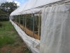 Greenhouse update 4-22-2014 011.JPG