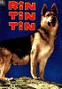 rin tin tin.jpg