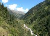 Malana-Summer-Pasture.jpg