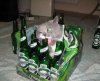 63 Drunk Cat[1].jpg